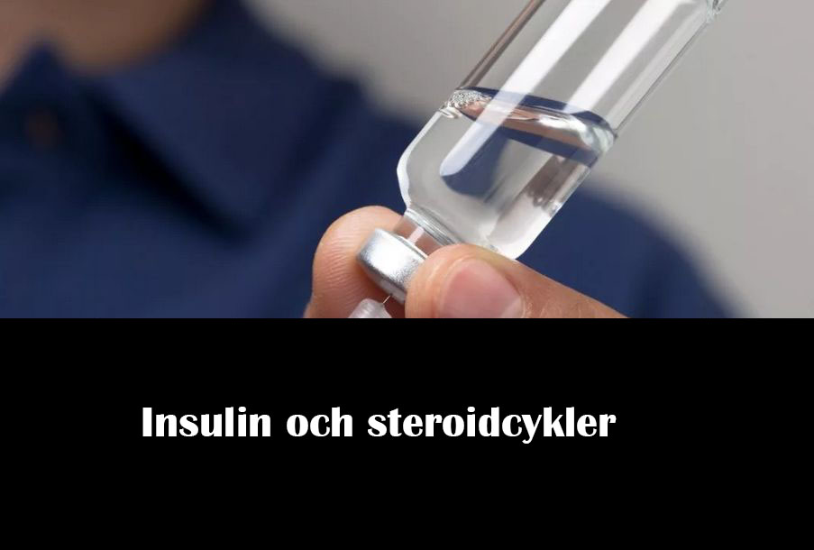Insulin och steroidcykler
