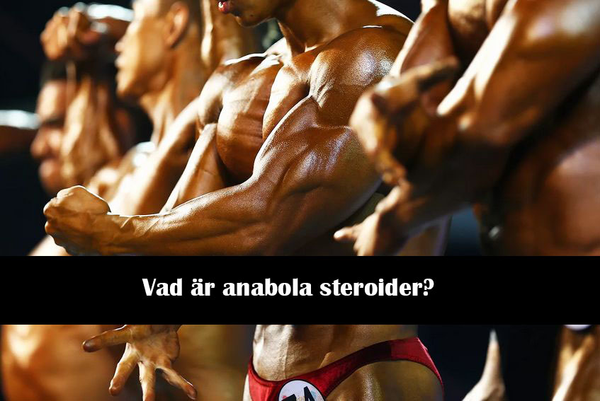 Vad är anabola steroider?